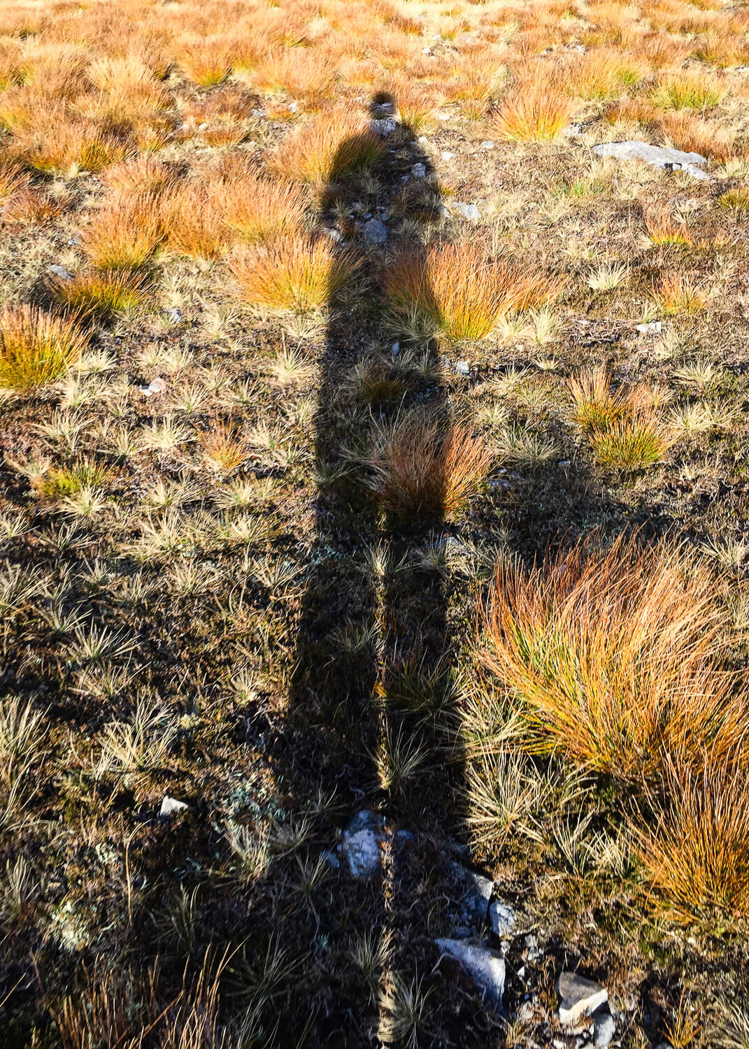 Human shadow on rough grass