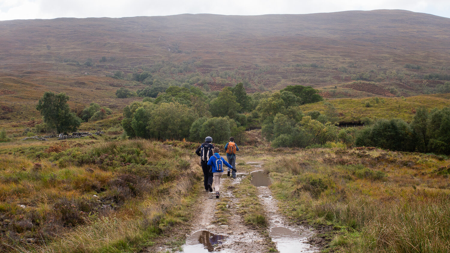 Family walking on track towards woodland